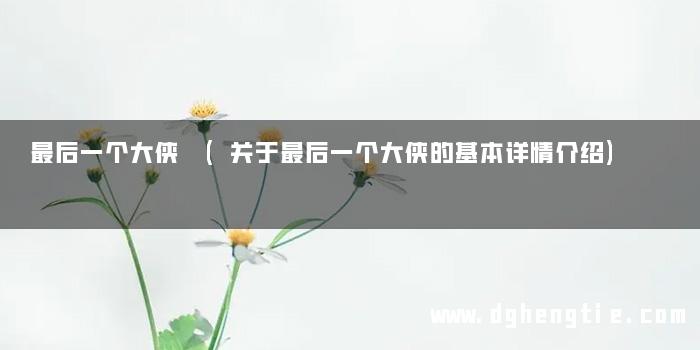 最后一个大侠 (关于最后一个大侠的基本详情介绍)